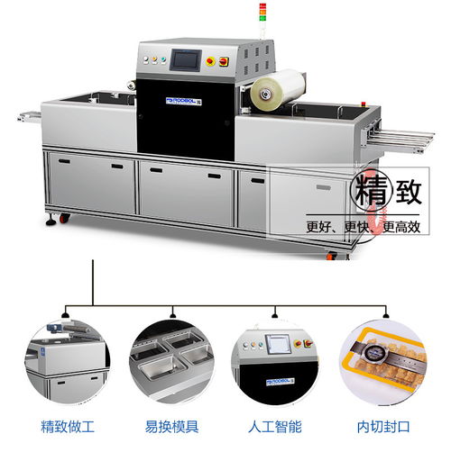 全自動(dòng)氣調(diào)包裝機(jī)的分類(lèi)及其應(yīng)用領(lǐng)域